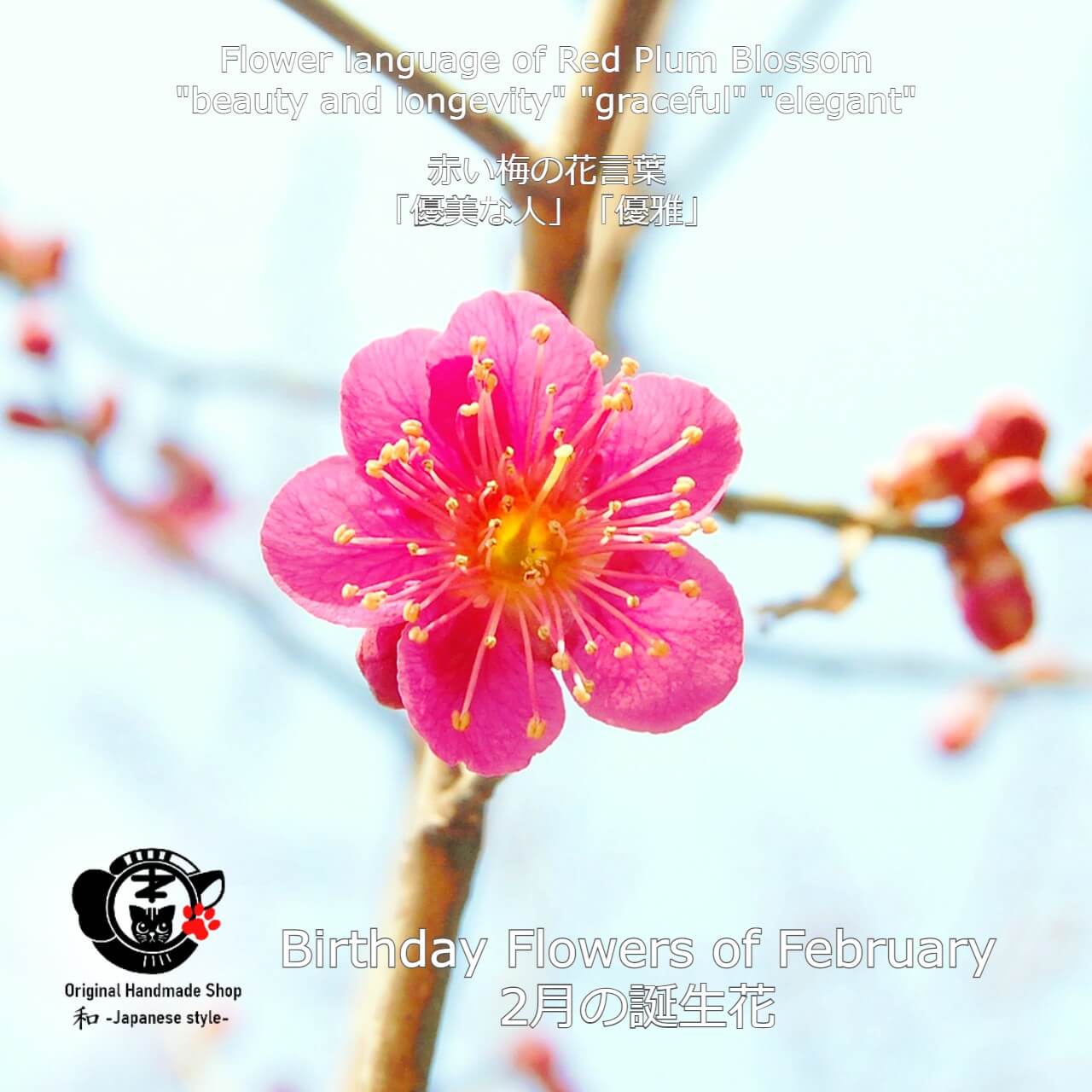 [Birthday Flower Of February][Choice of birthstones] Plum And Birthstone Earrings 【2月誕生花】【選べる誕生石】梅と誕生石のピアス
