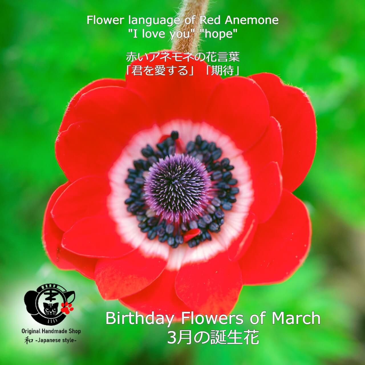 [Birthday Flower Of March][Choice of birthstones] Anemone And Birthstone Earrings 【3月誕生花】【選べる誕生石】アネモネと誕生石のピアス