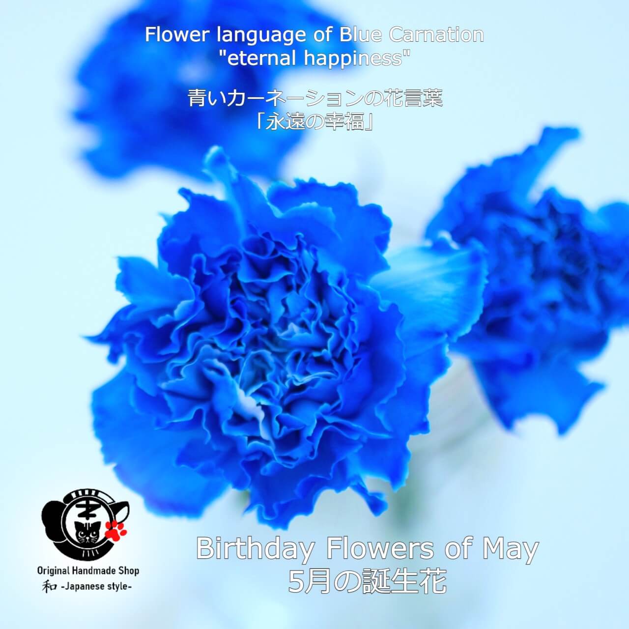 [Birthday Flower Of May][Choice of birthstones] Carnation And Birthstone Earrings【5月誕生花】【選べる誕生石】カーネーションと誕生石のピアス