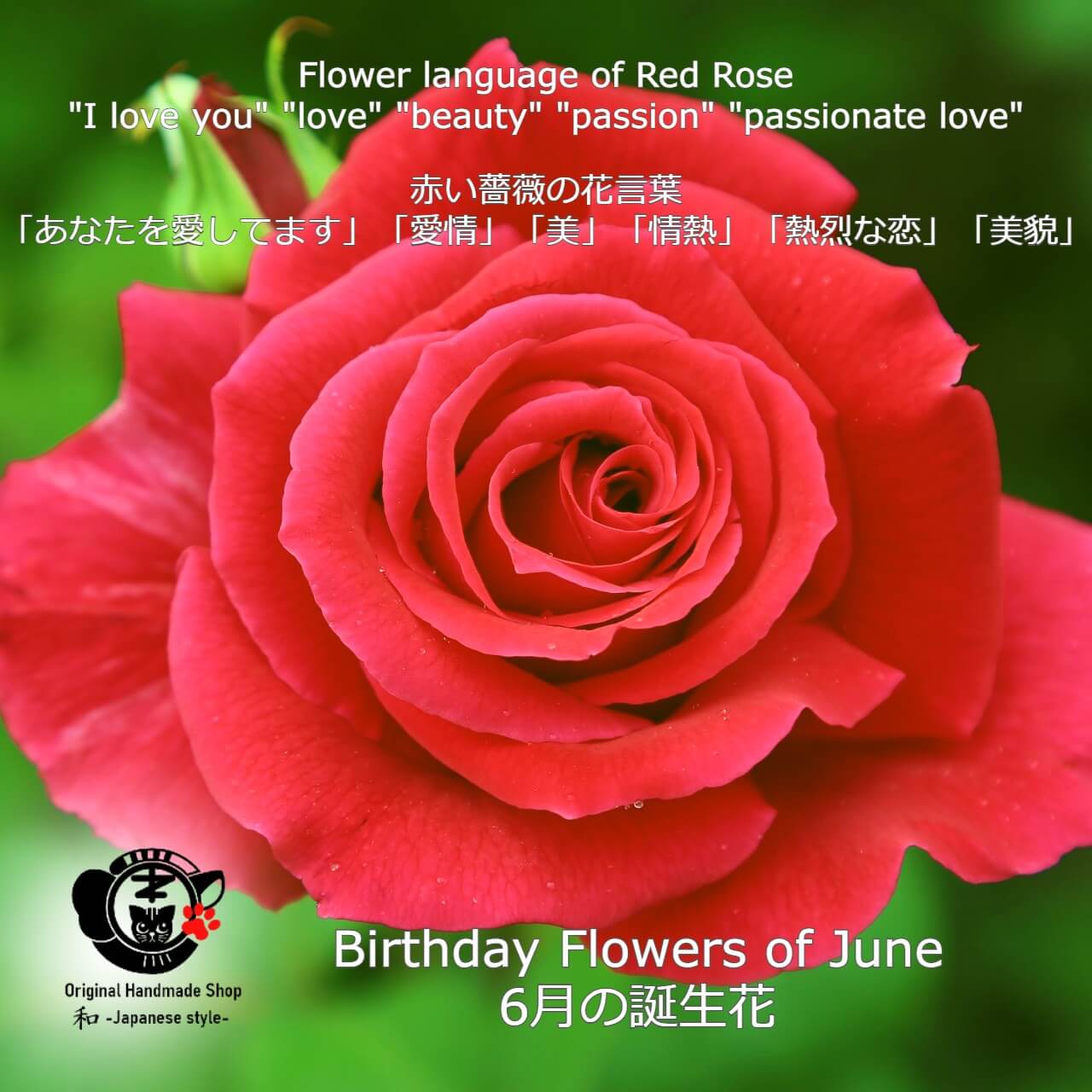[Birthday Flower Of June][Choice of birthstones] Rose And Birthstone Earrings【6月誕生花】【選べる誕生石】薔薇と誕生石のピアス