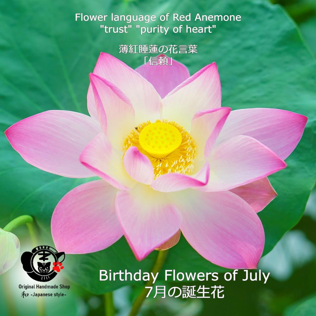 [Birthday Flower Of July][Choice of birthstones] Water Lily And Birthstone Earrings【7月誕生花】【選べる誕生石】睡蓮と誕生石のピアス