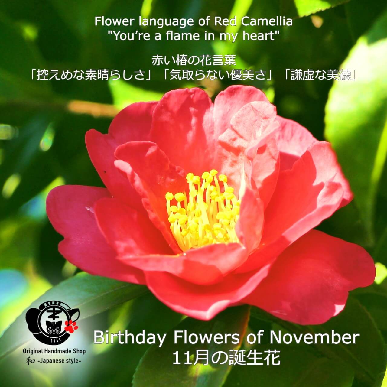 [Birthday Flower Of November][Choice of birthstones] Camellia And Birthstone Earrings【11月誕生花】【選べる誕生石】椿と誕生石のピアス