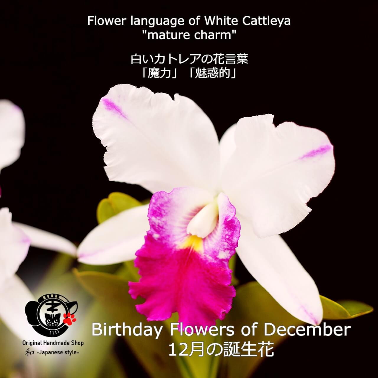 [Birthday Flower Of December][Choice of birthstones] Cattleya And Birthstone Earrings【12月誕生花】【選べる誕生石】カトレアと誕生石のピアス